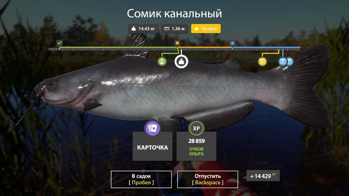 Лосиное: трофей