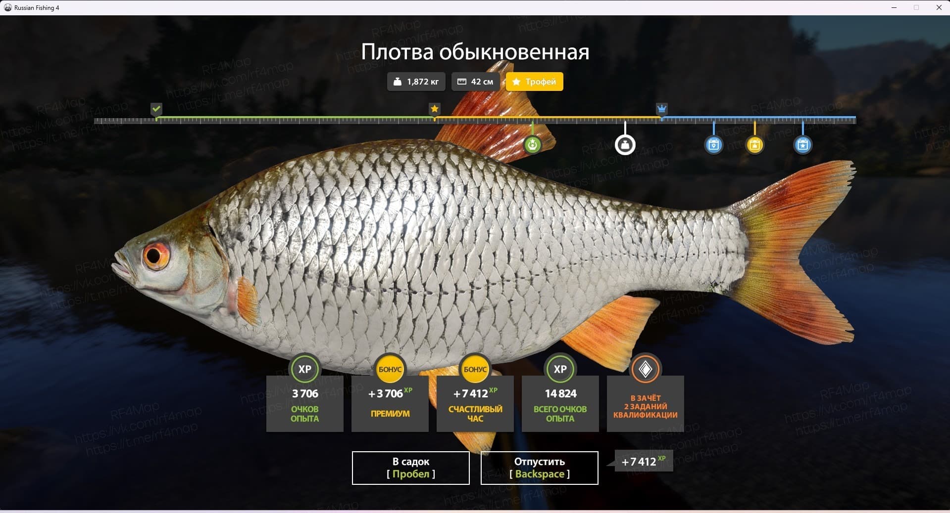 Белая: трофей