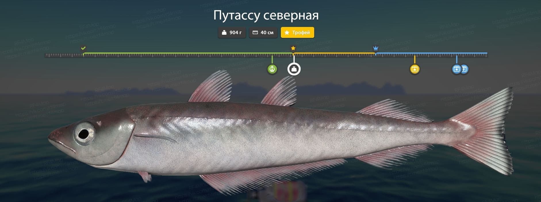 Норвежское море: фарм, трофей