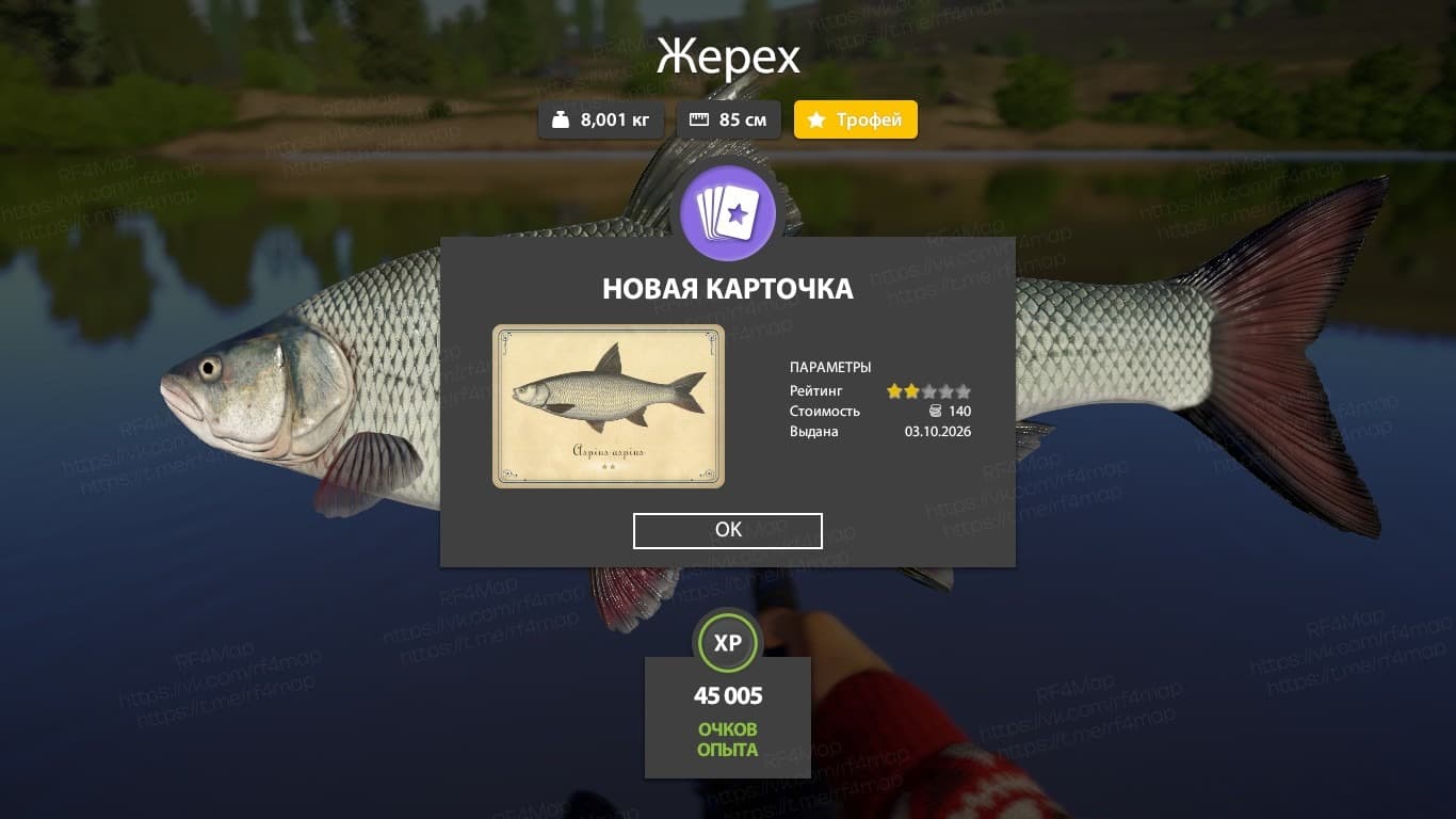 Сура: трофей