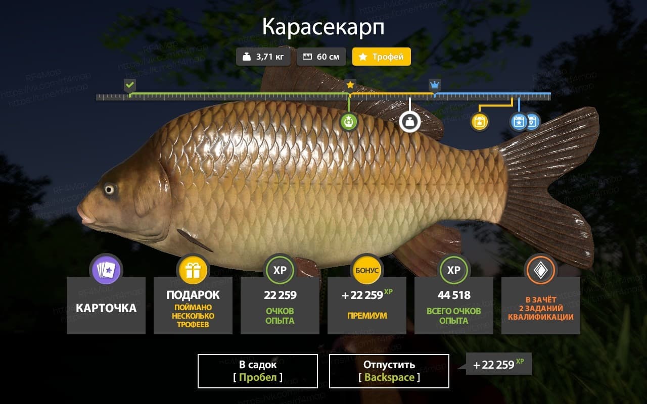 Медное: фарм, трофей