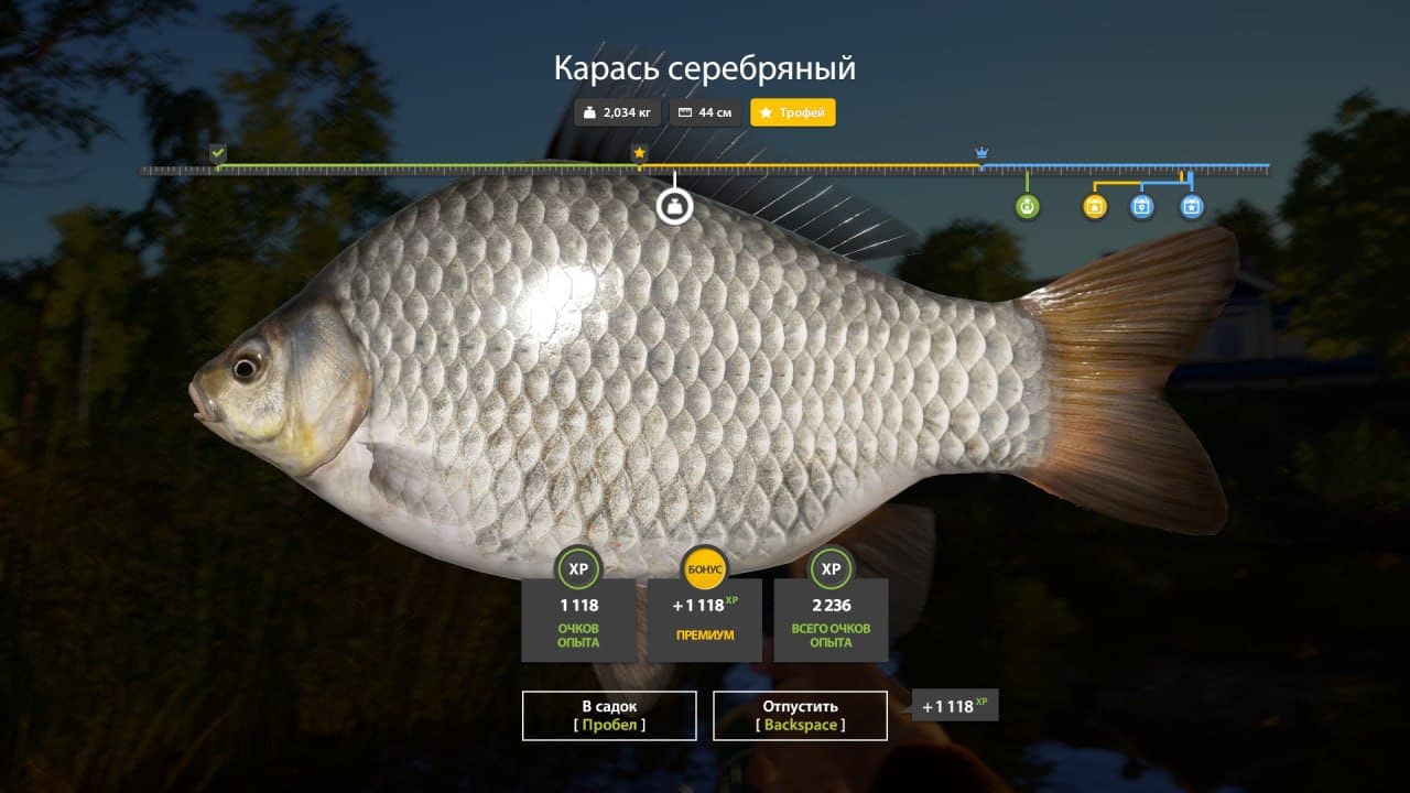 оз. Комариное: трофей