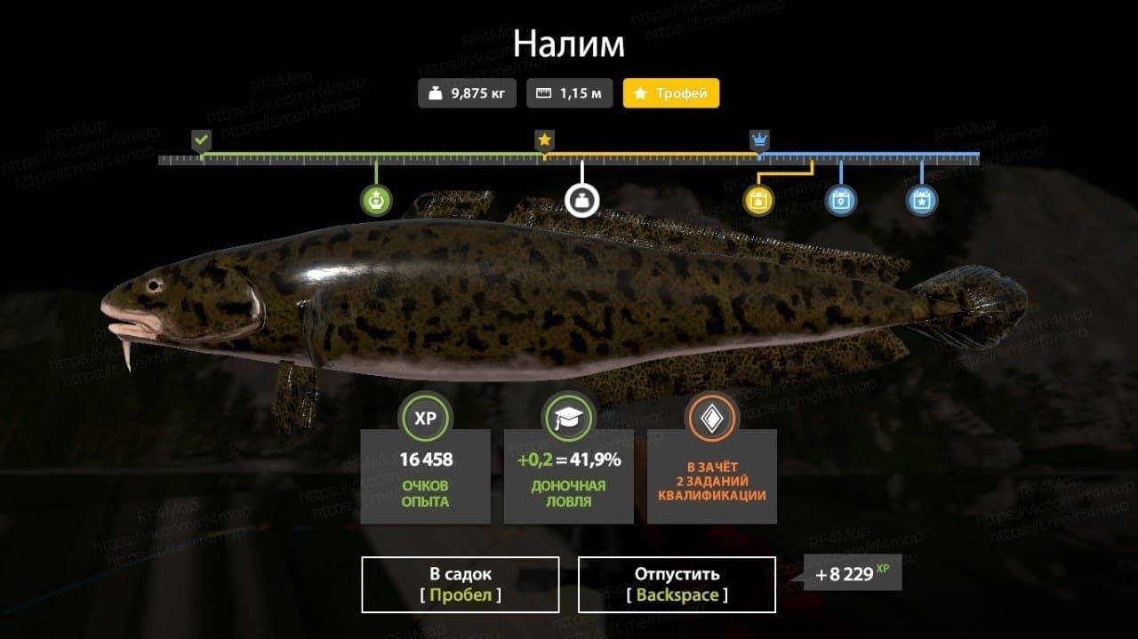 р. Белая: трофей