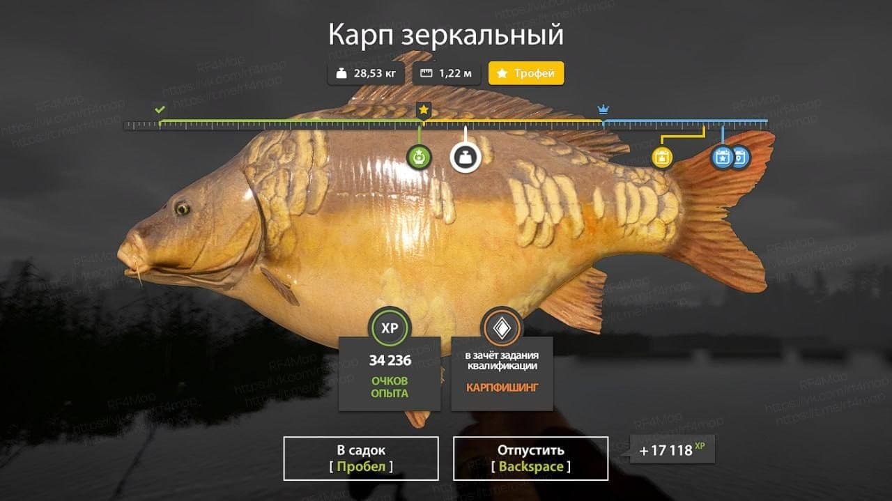 оз. Медвежье: трофей