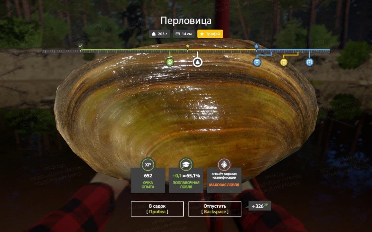 р. Вьюнок: трофей