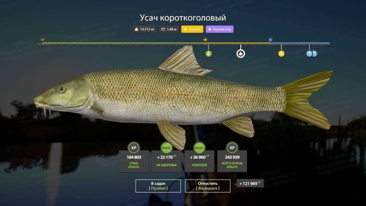 р. Ахтуба: трофей