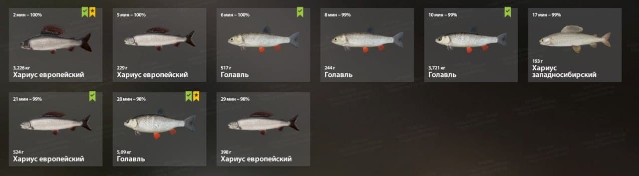 р. Белая: трофей