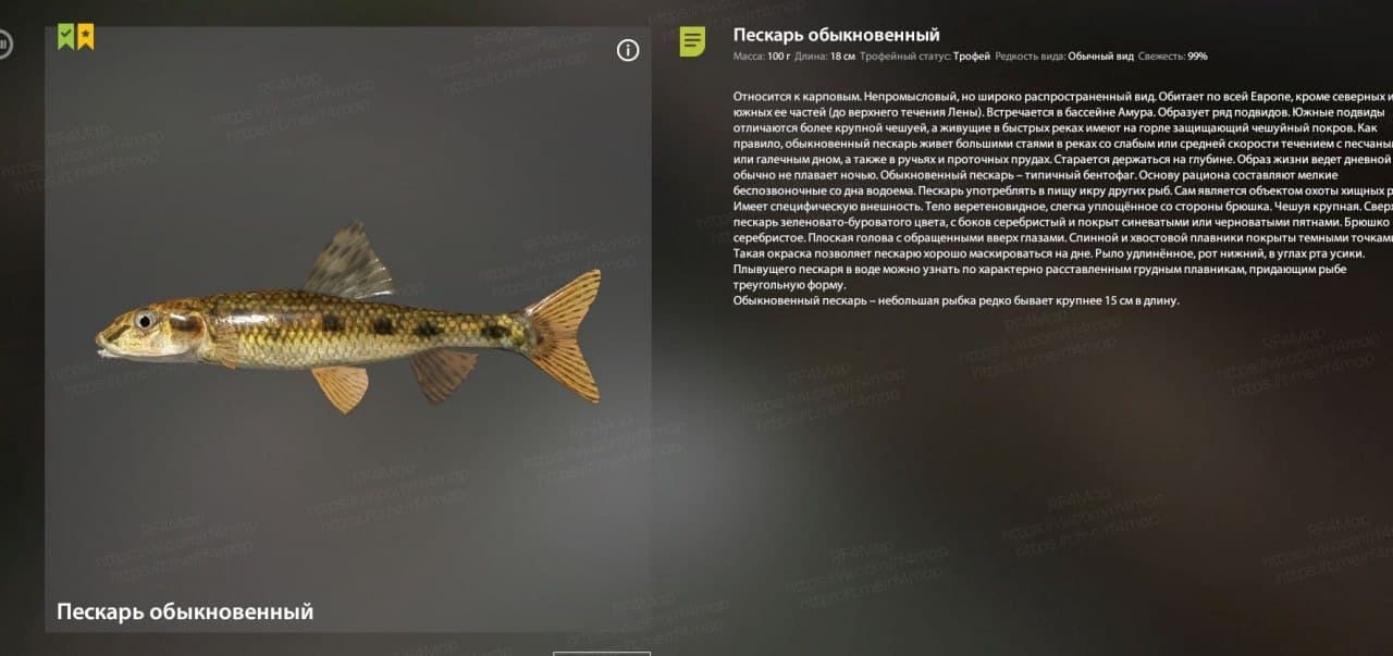 р. Вьюнок: трофей
