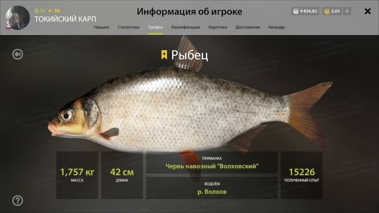 р. Волхов: трофей