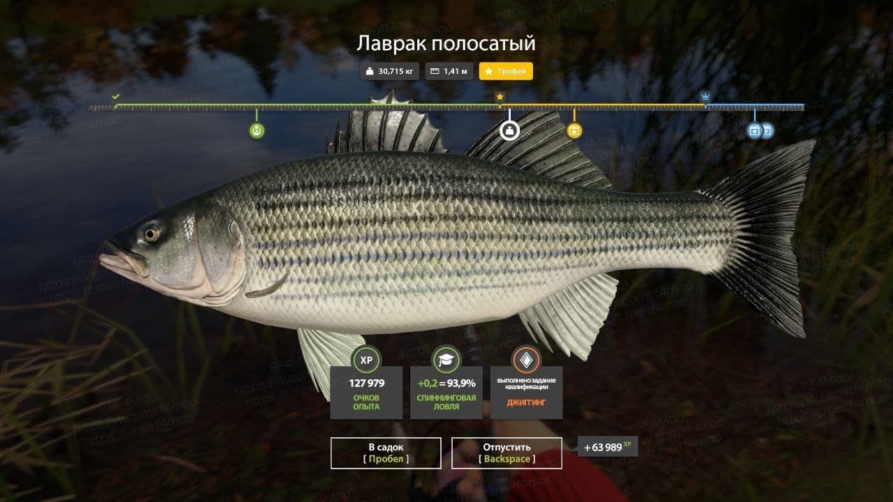 оз. Лосиное: трофей