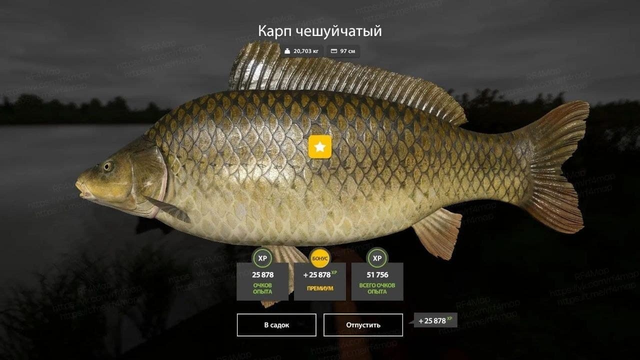 оз. Янтарное: трофей, квалификация