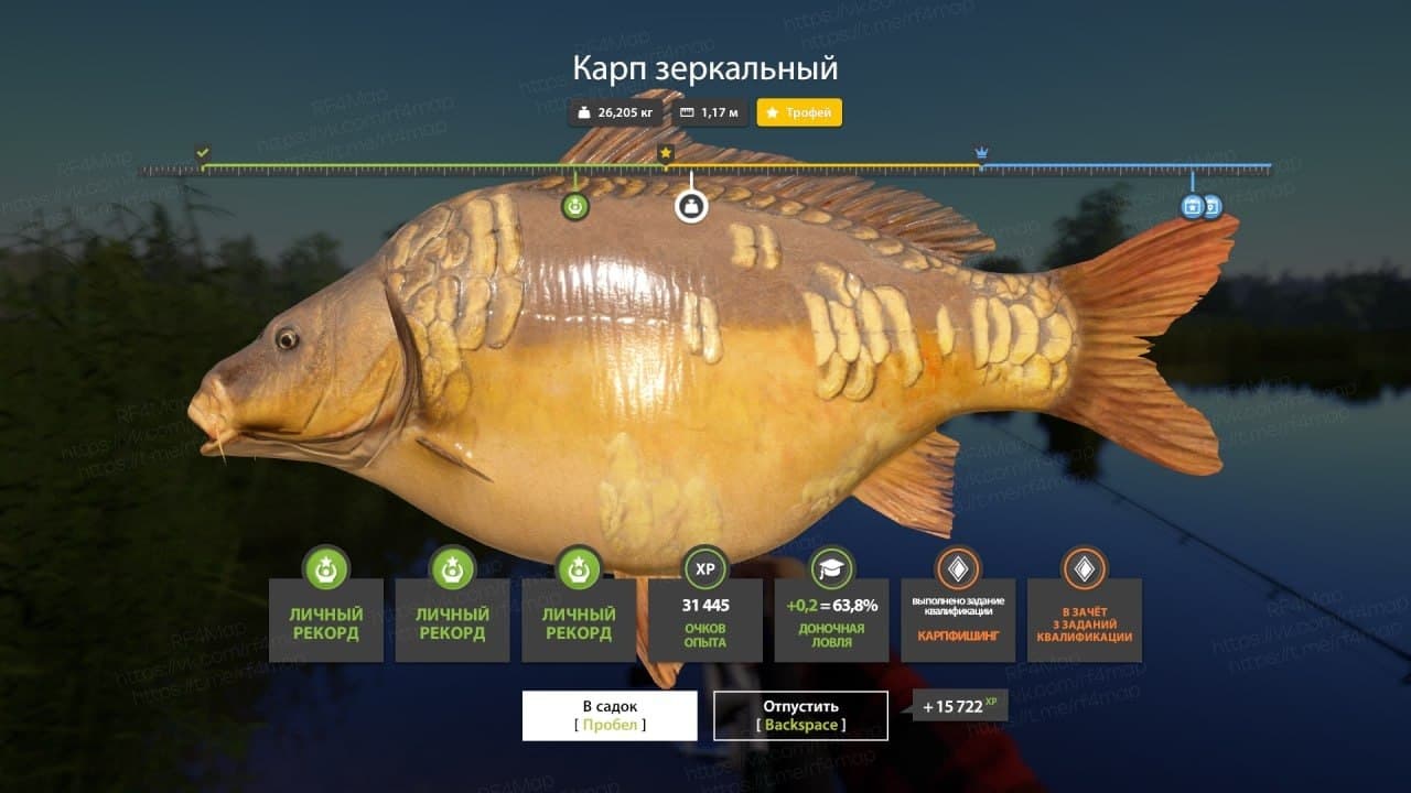 оз. Медвежье