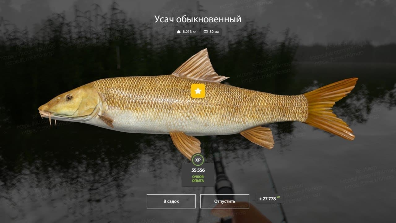 оз. Медвежье: трофей
