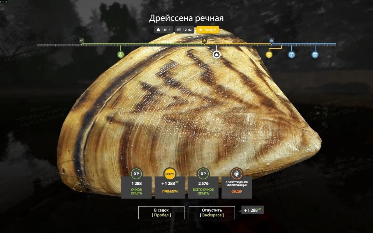 р. Вьюнок: трофей, квалификация