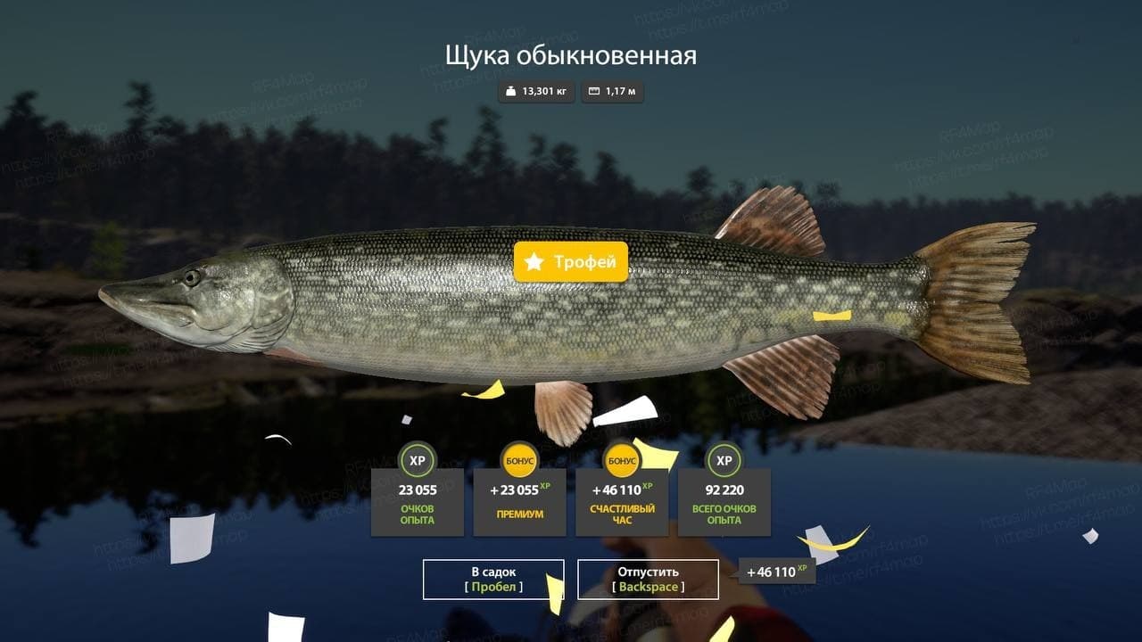 Ладожское оз.: трофей
