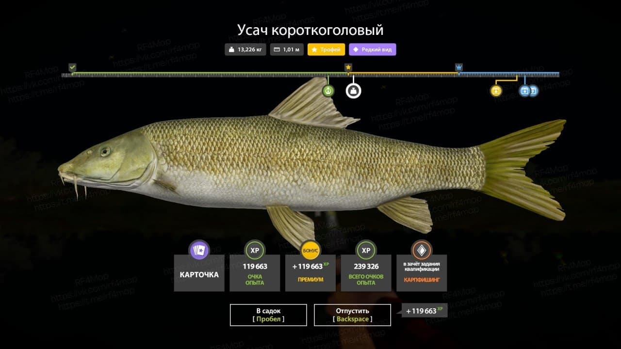 р. Ахтуба: трофей