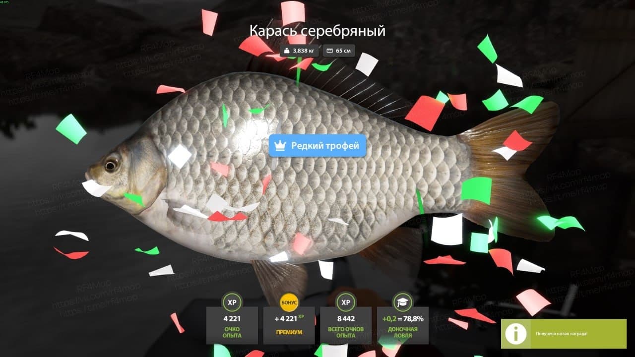 Ладожское оз.: трофей