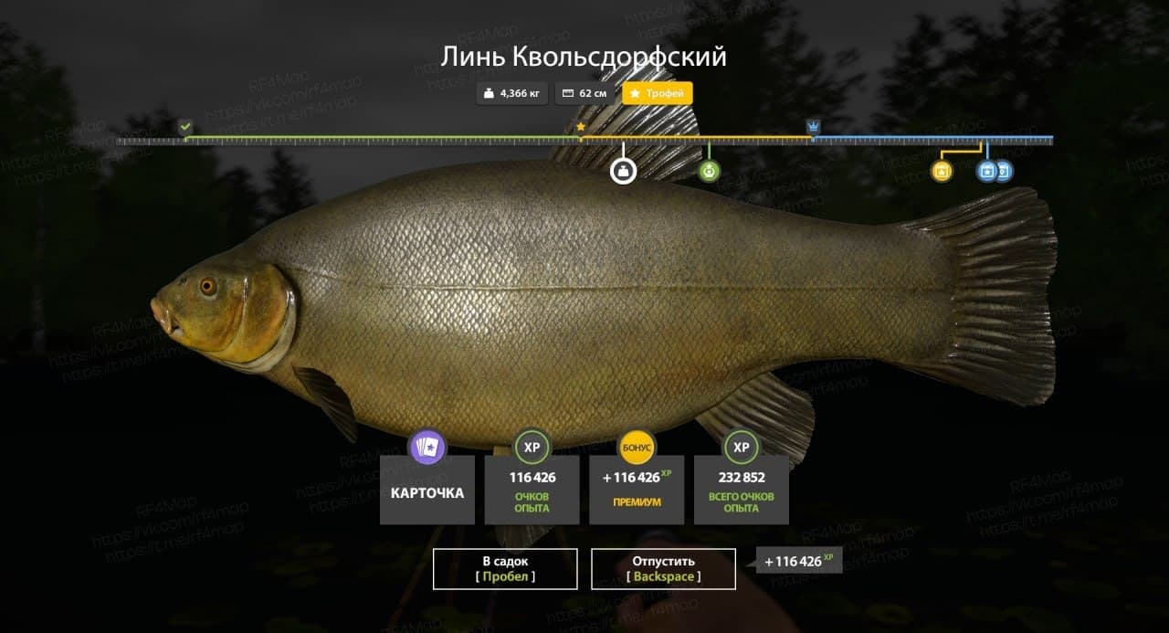 оз. Медное: трофей
