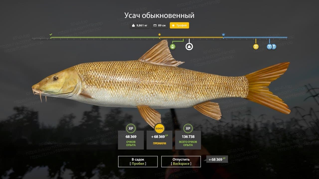 оз. Медвежье: трофей