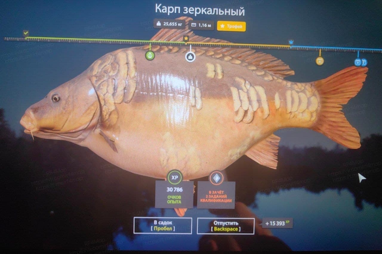 оз. Медвежье: трофей