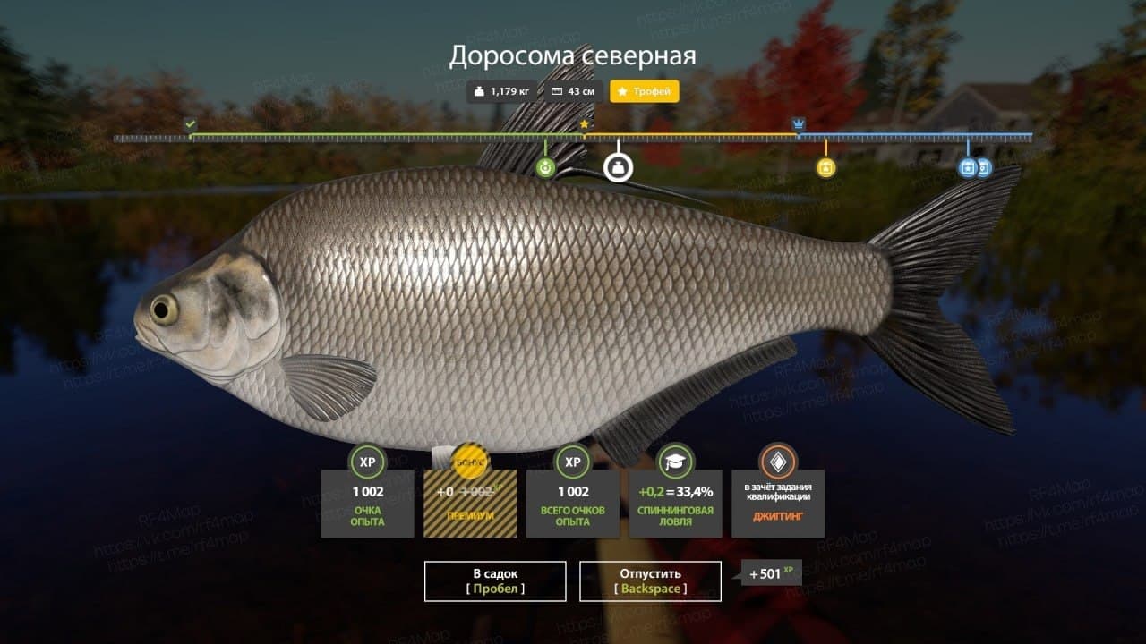 оз. Лосиное: трофей