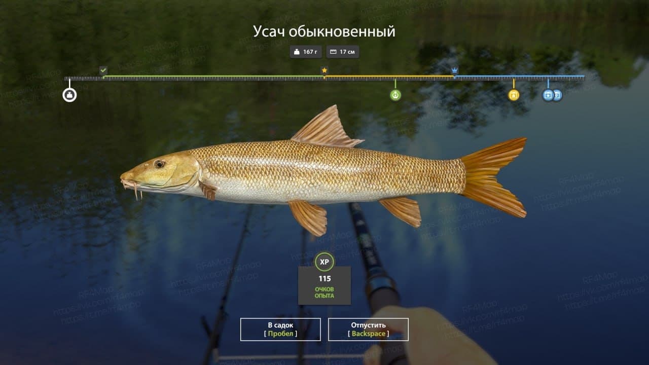 оз. Медвежье: трофей