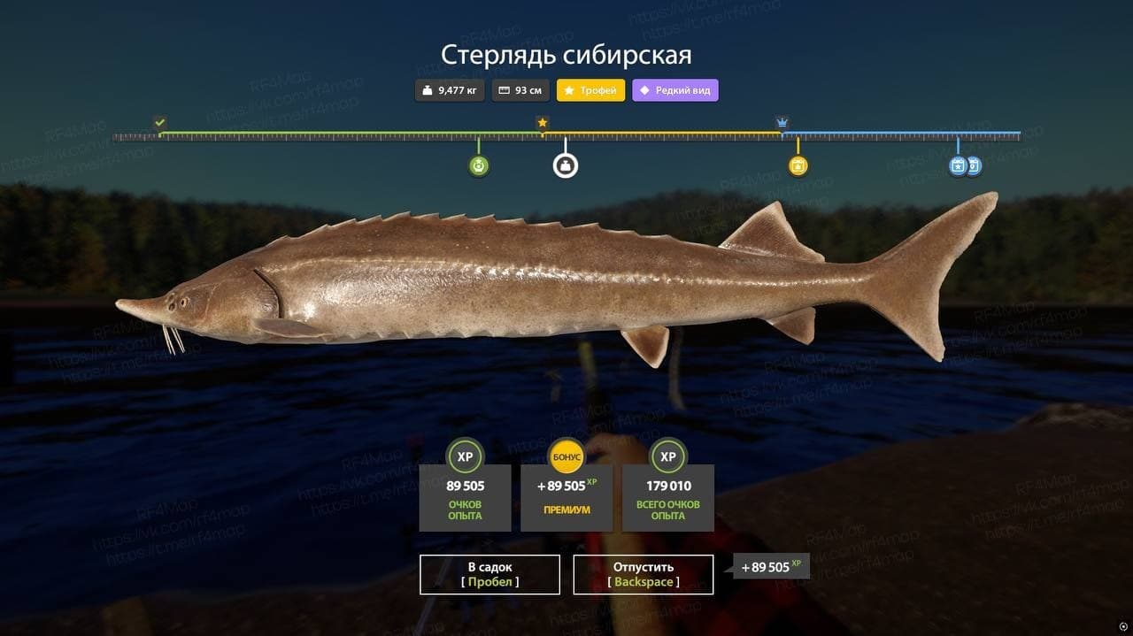 р. Нижняя Тунгуска: трофей