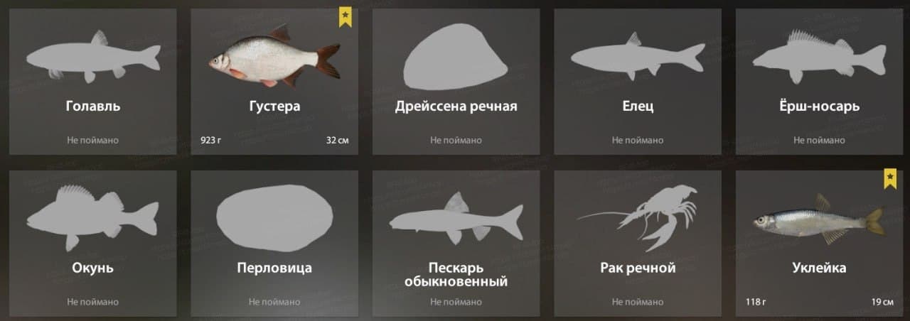 р. Вьюнок: трофей
