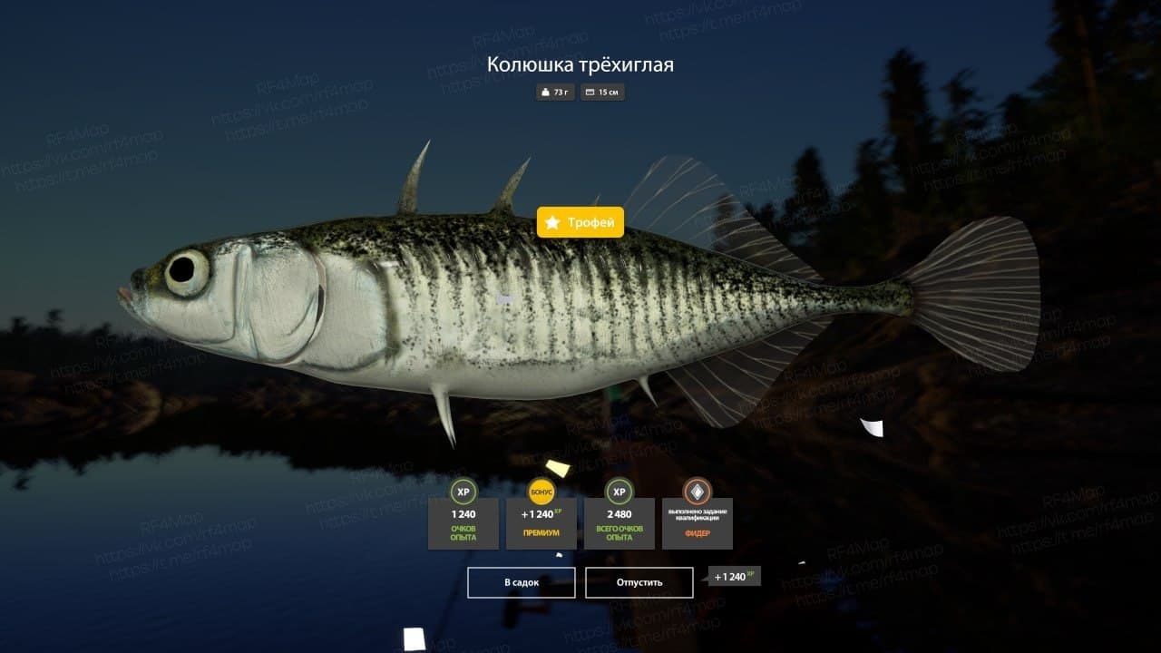 Ладожское оз.: трофей