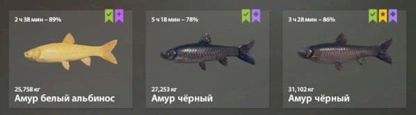 оз. Медвежье: трофей