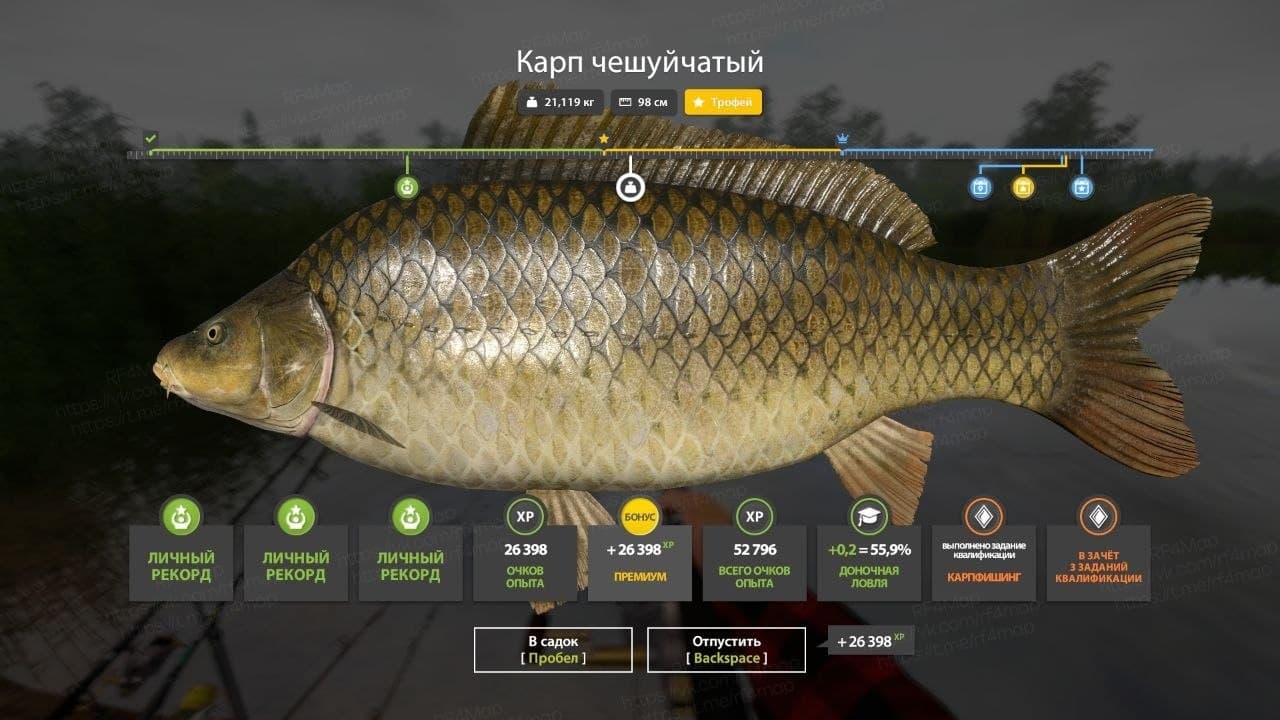 оз. Медвежье