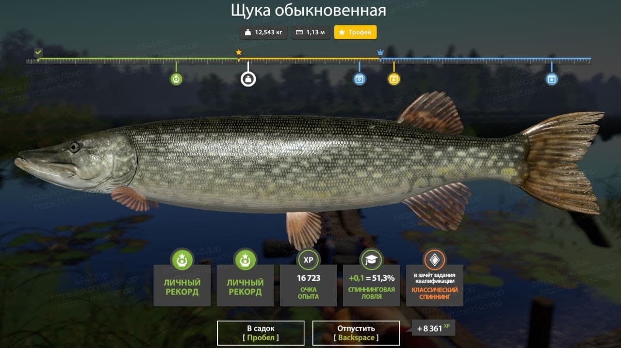 оз. Старый Острог: трофей
