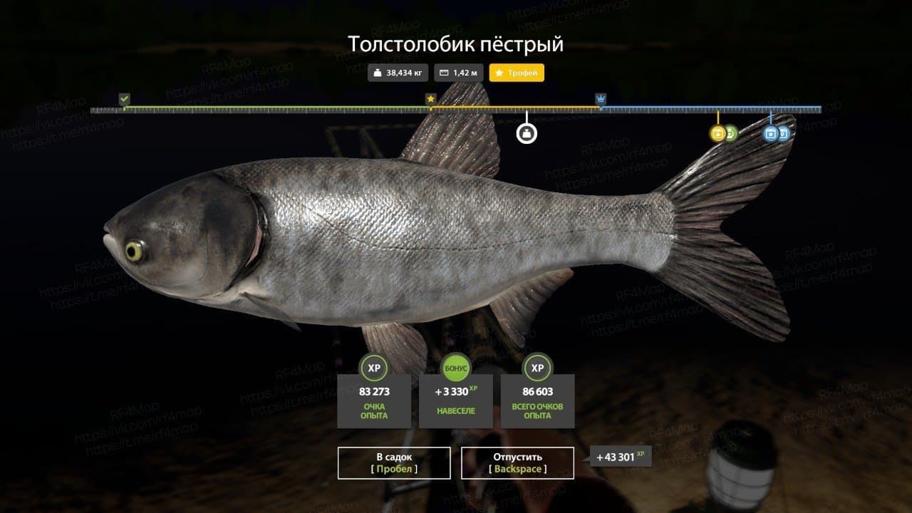 р. Сура: трофей
