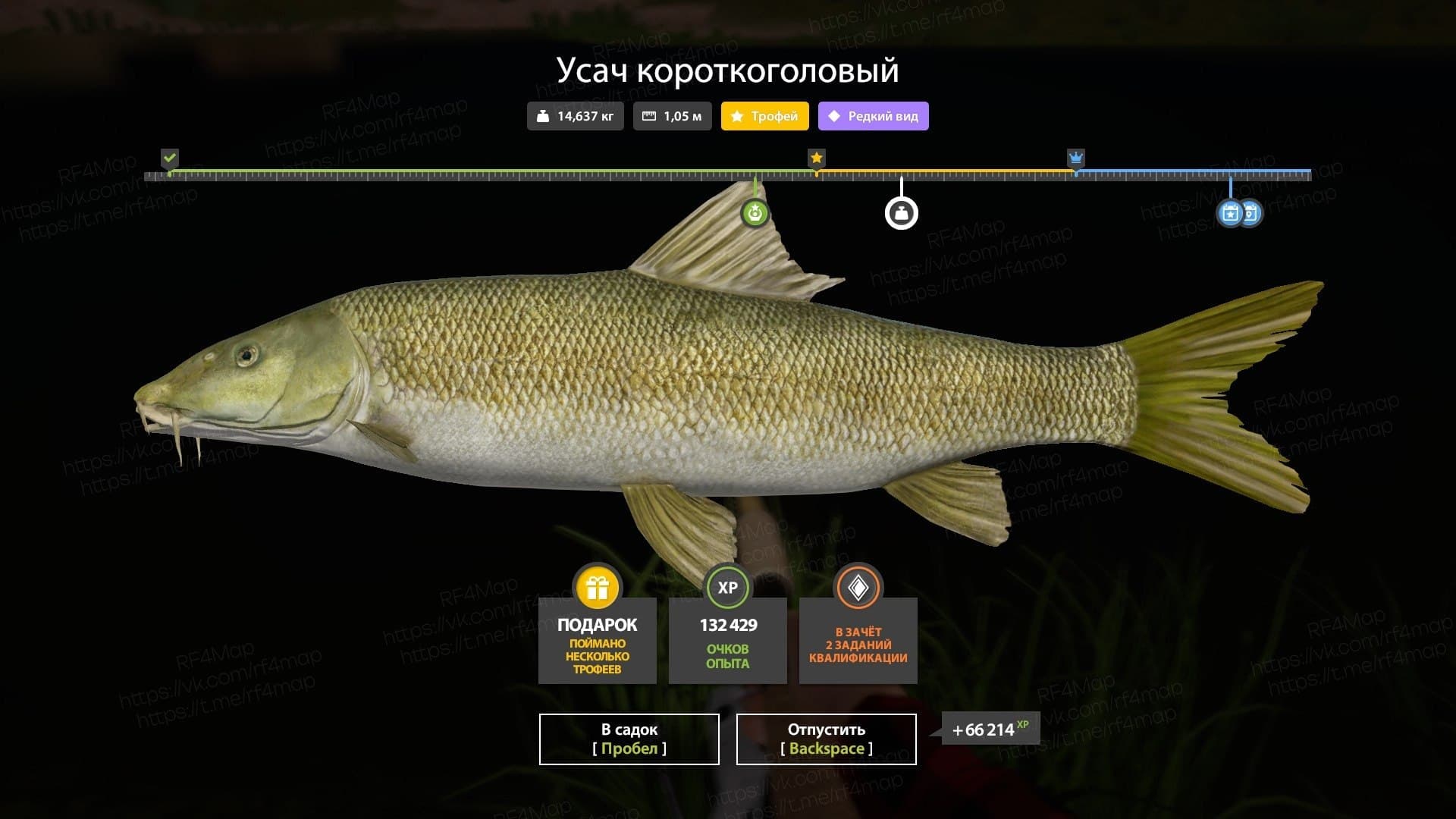 р. Ахтуба: трофей