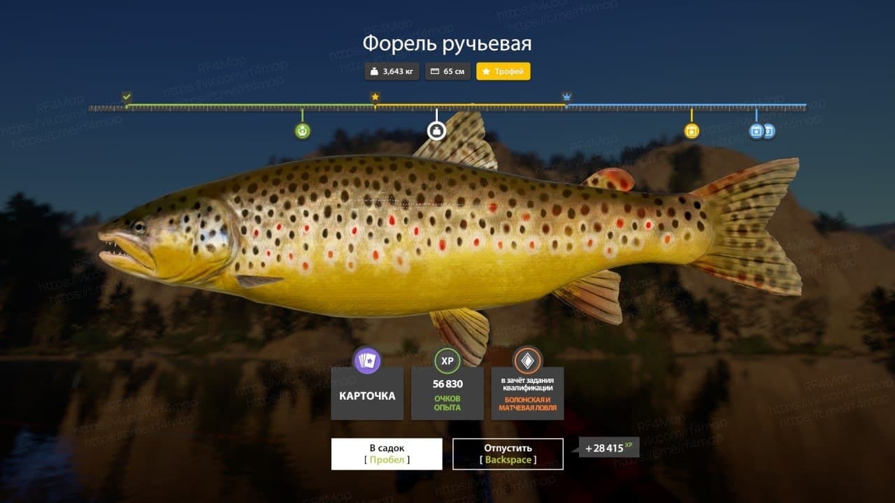 р. Белая: трофей