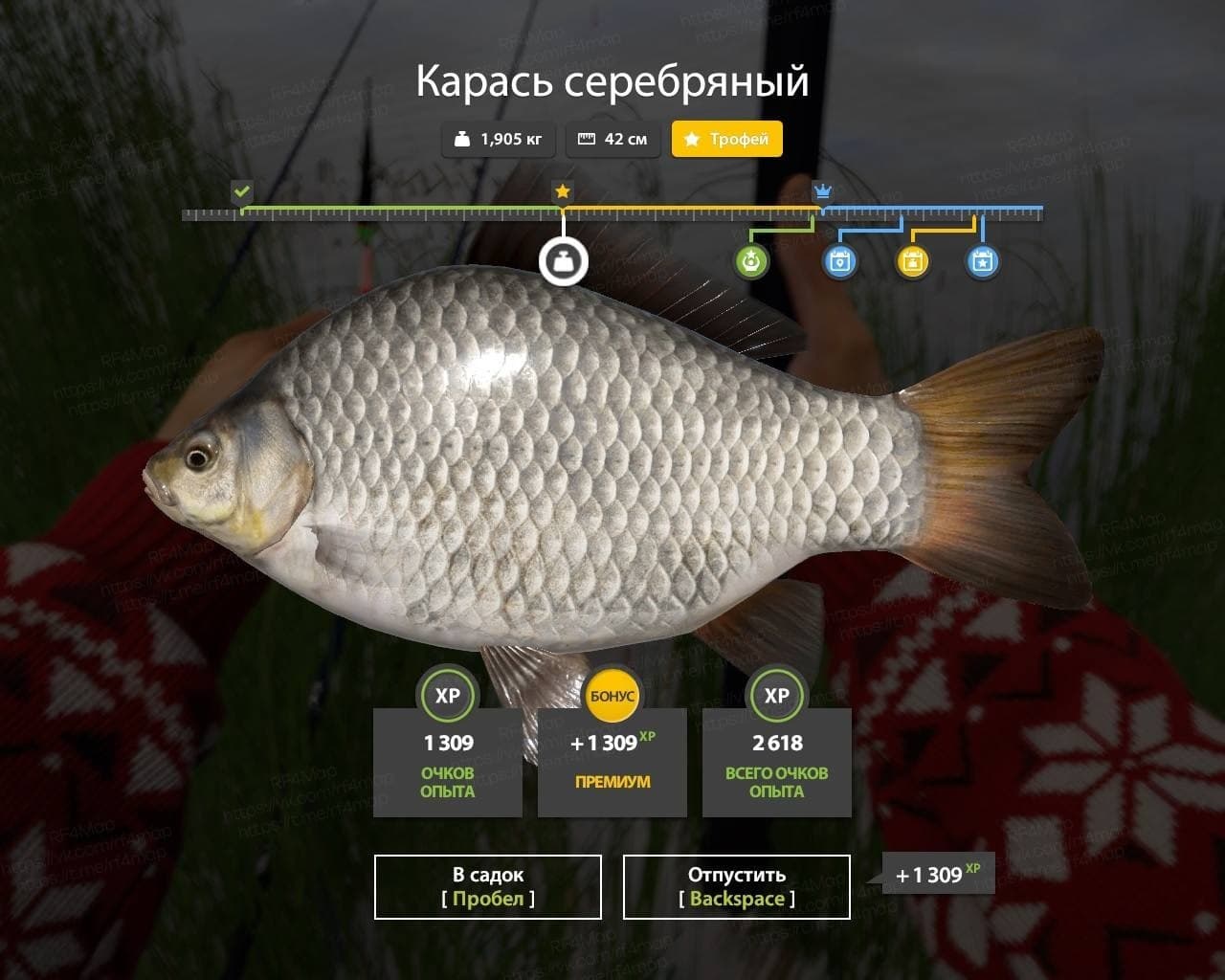 оз. Медвежье: трофей