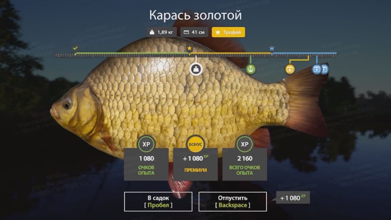 оз. Комариное: фарм, трофей