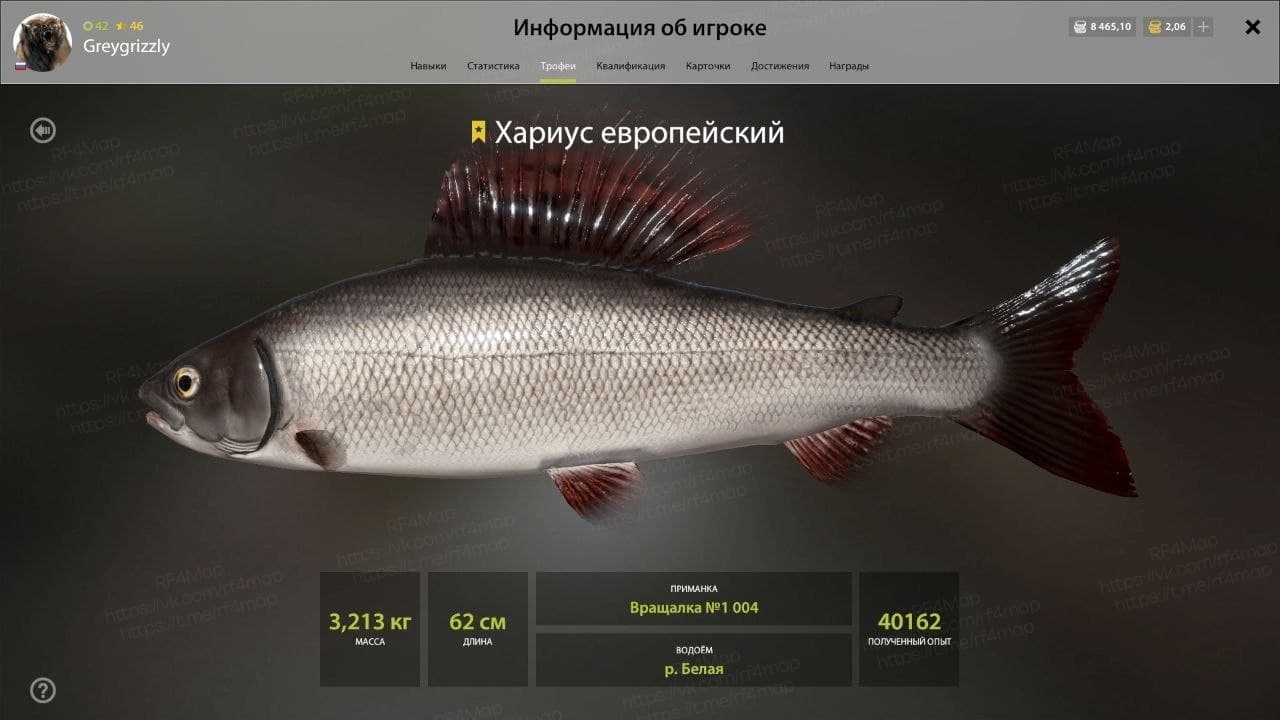 р. Белая: трофей