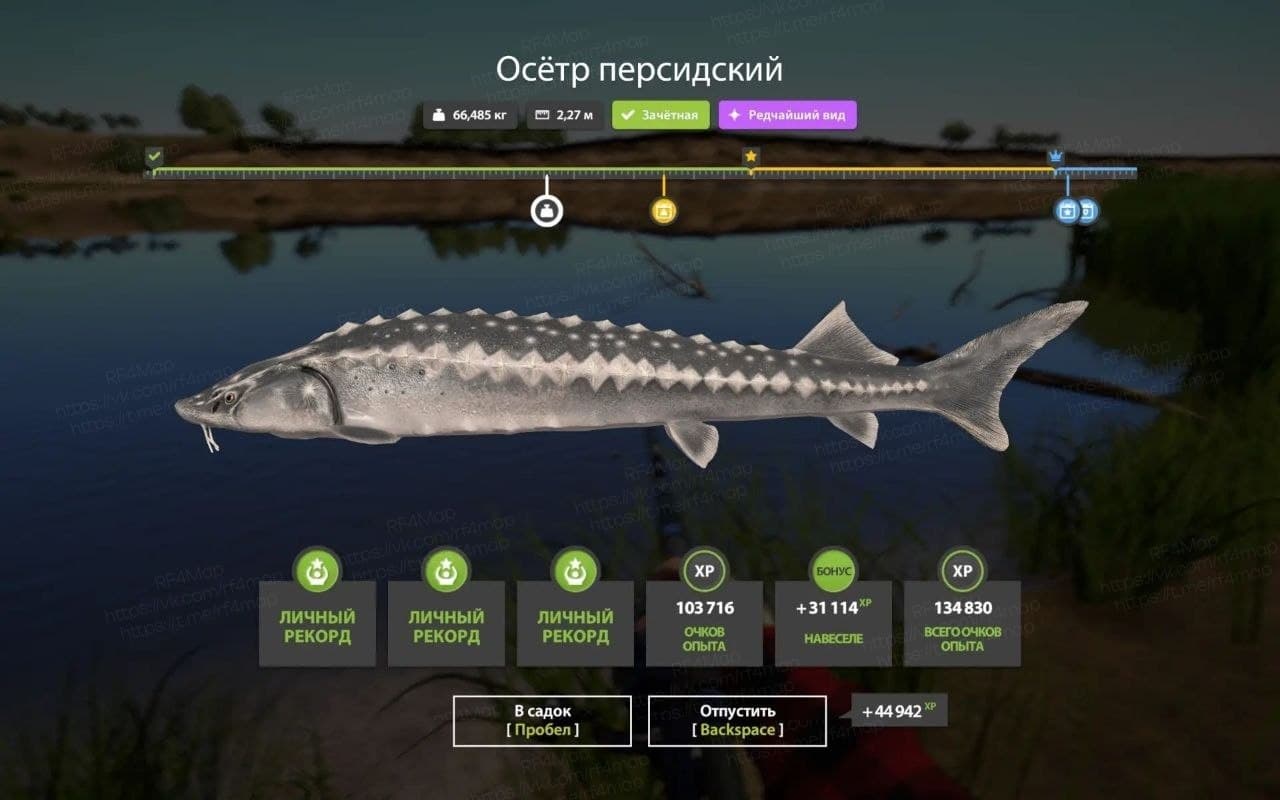 р. Ахтуба: уникальное, трофей