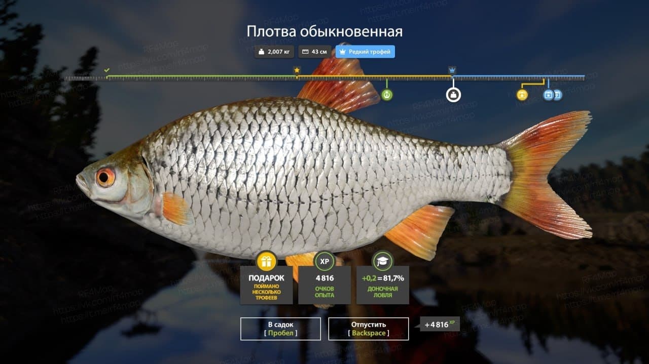 Ладожское оз.: трофей