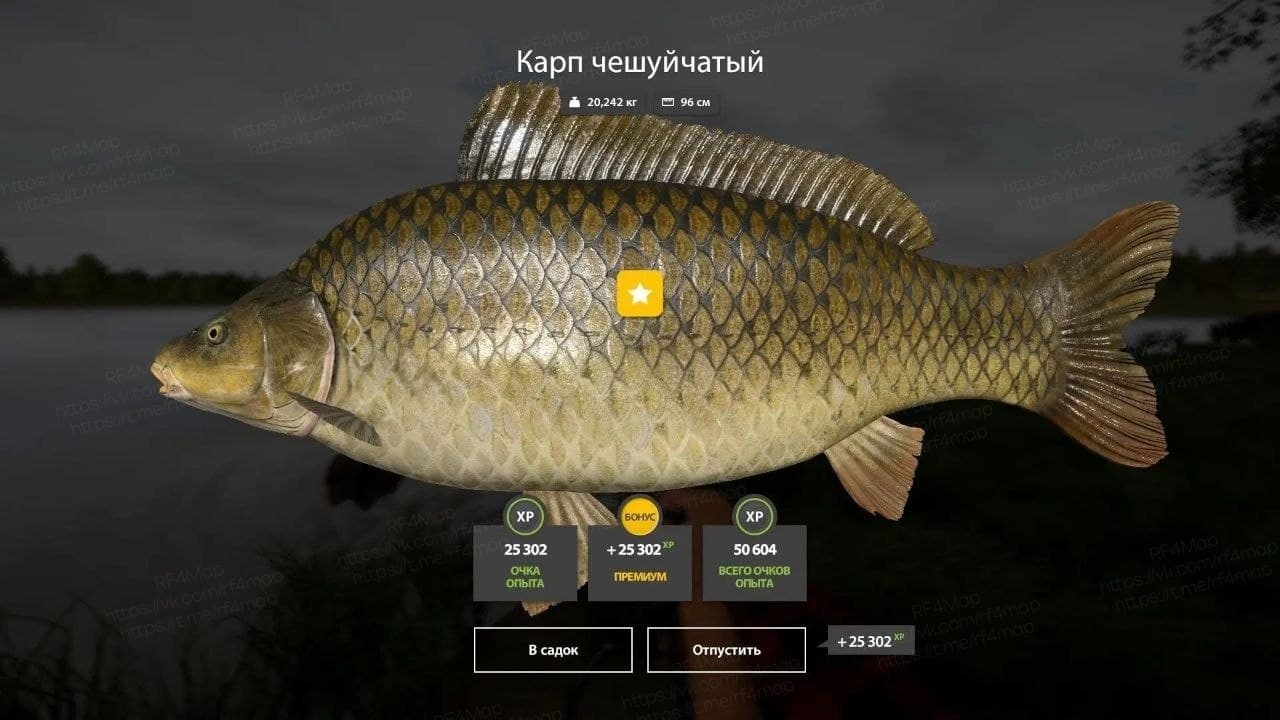оз. Янтарное: трофей, квалификация