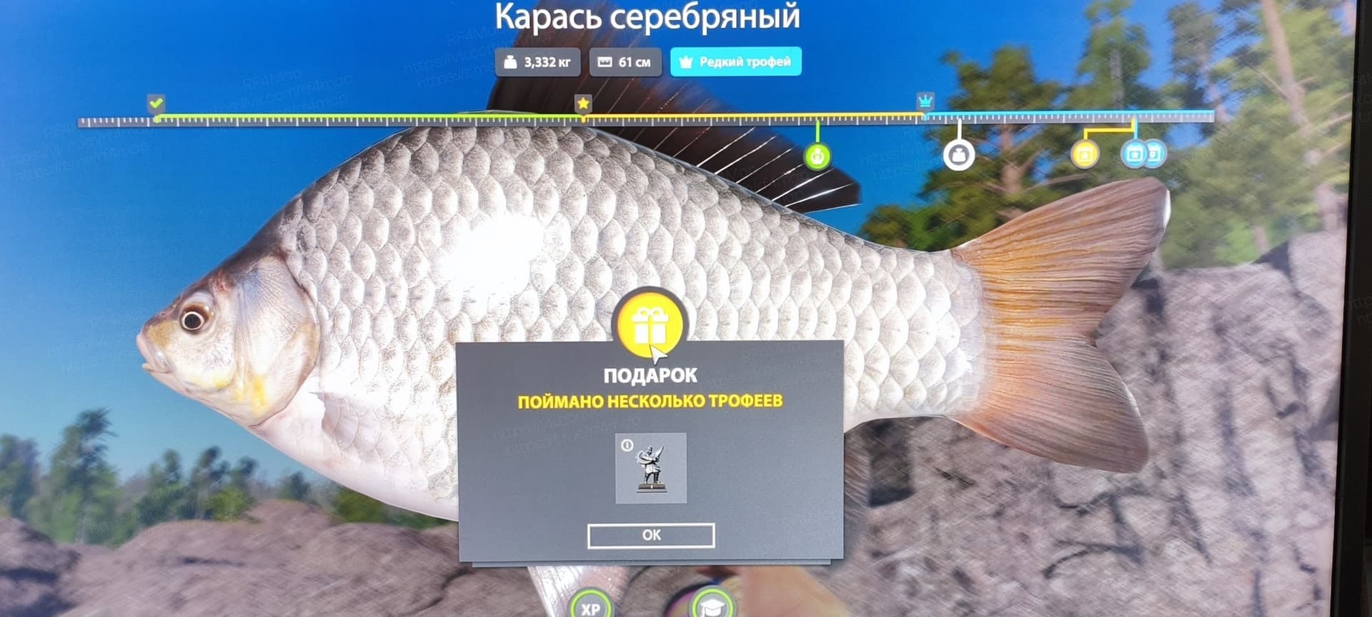 Ладожское оз.: трофей