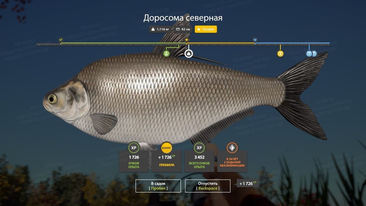 оз. Лосиное: трофей