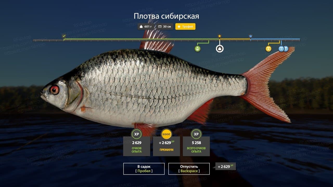 р. Нижняя Тунгуска: трофей