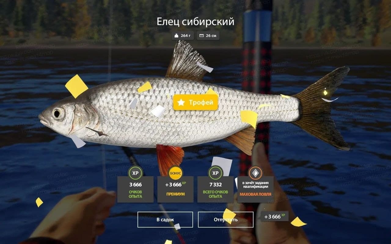 р. Нижняя Тунгуска: трофей