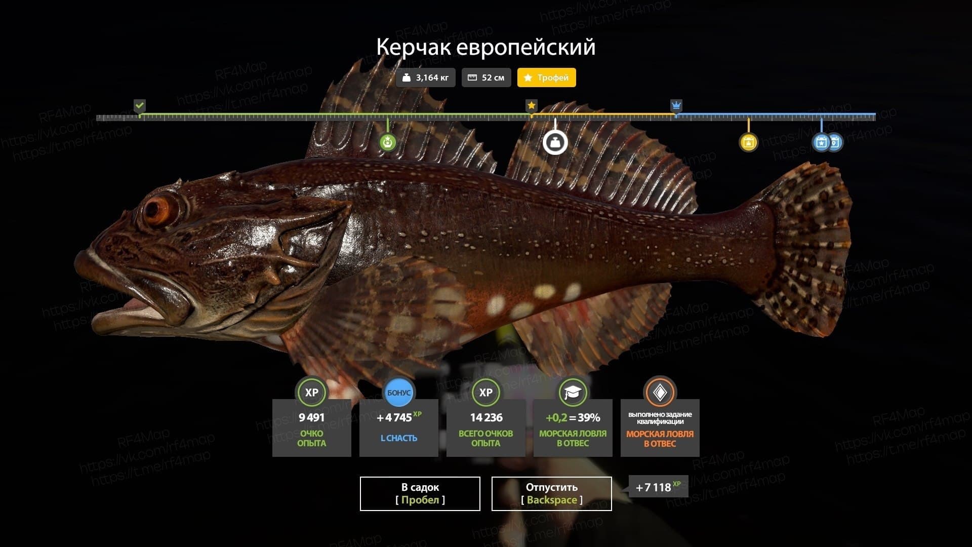 Норвежское море: фарм, трофей
