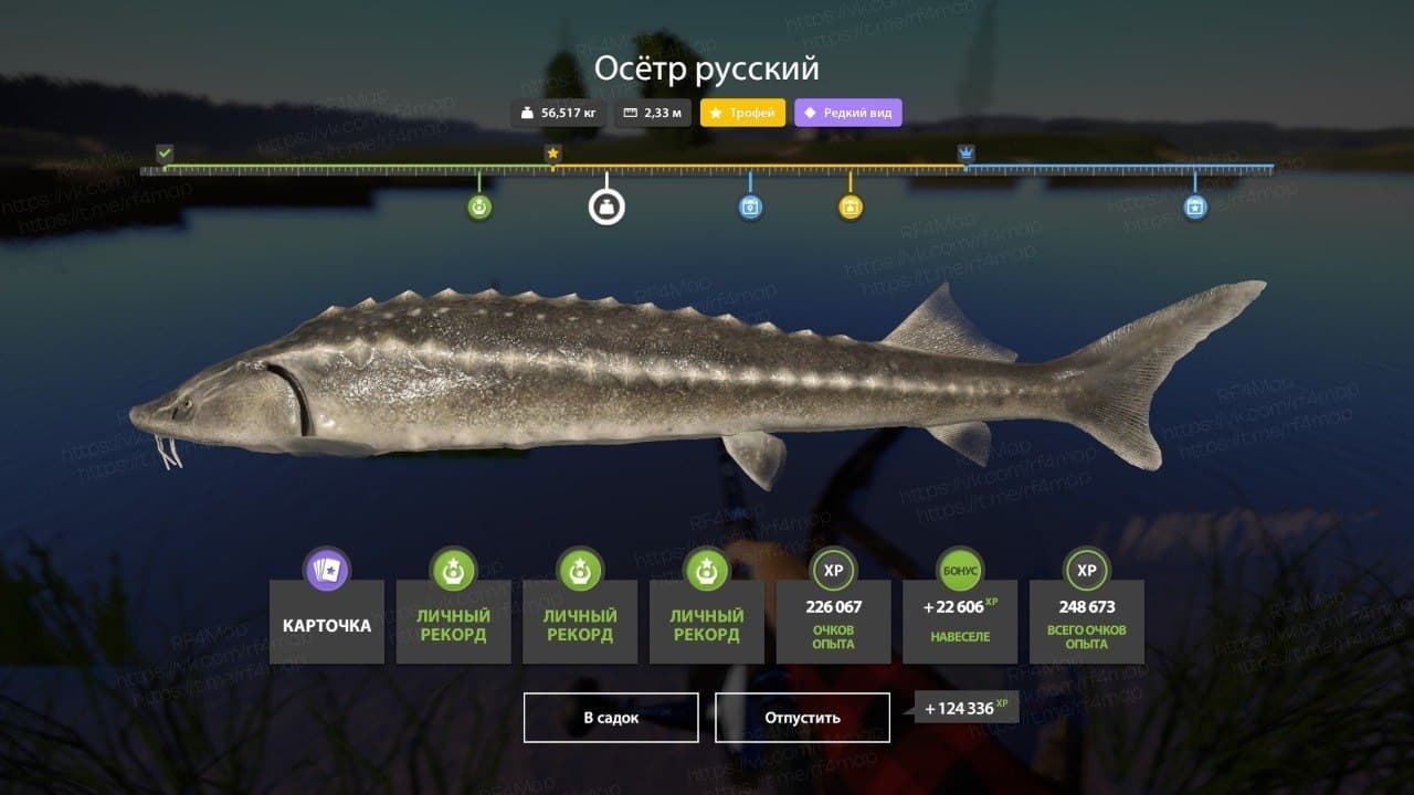 р. Сура: трофей, уникальное