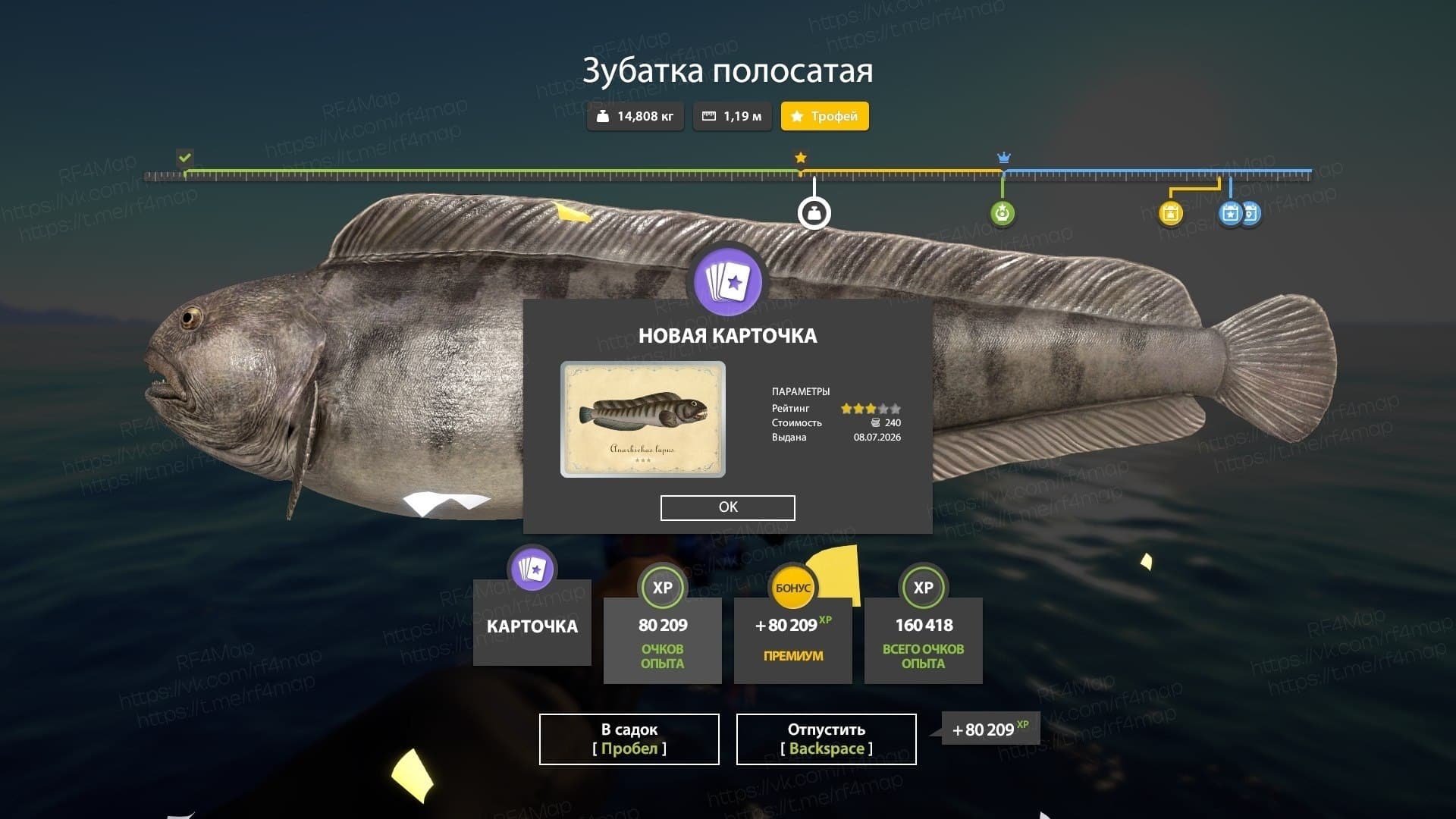Норвежское море: трофей