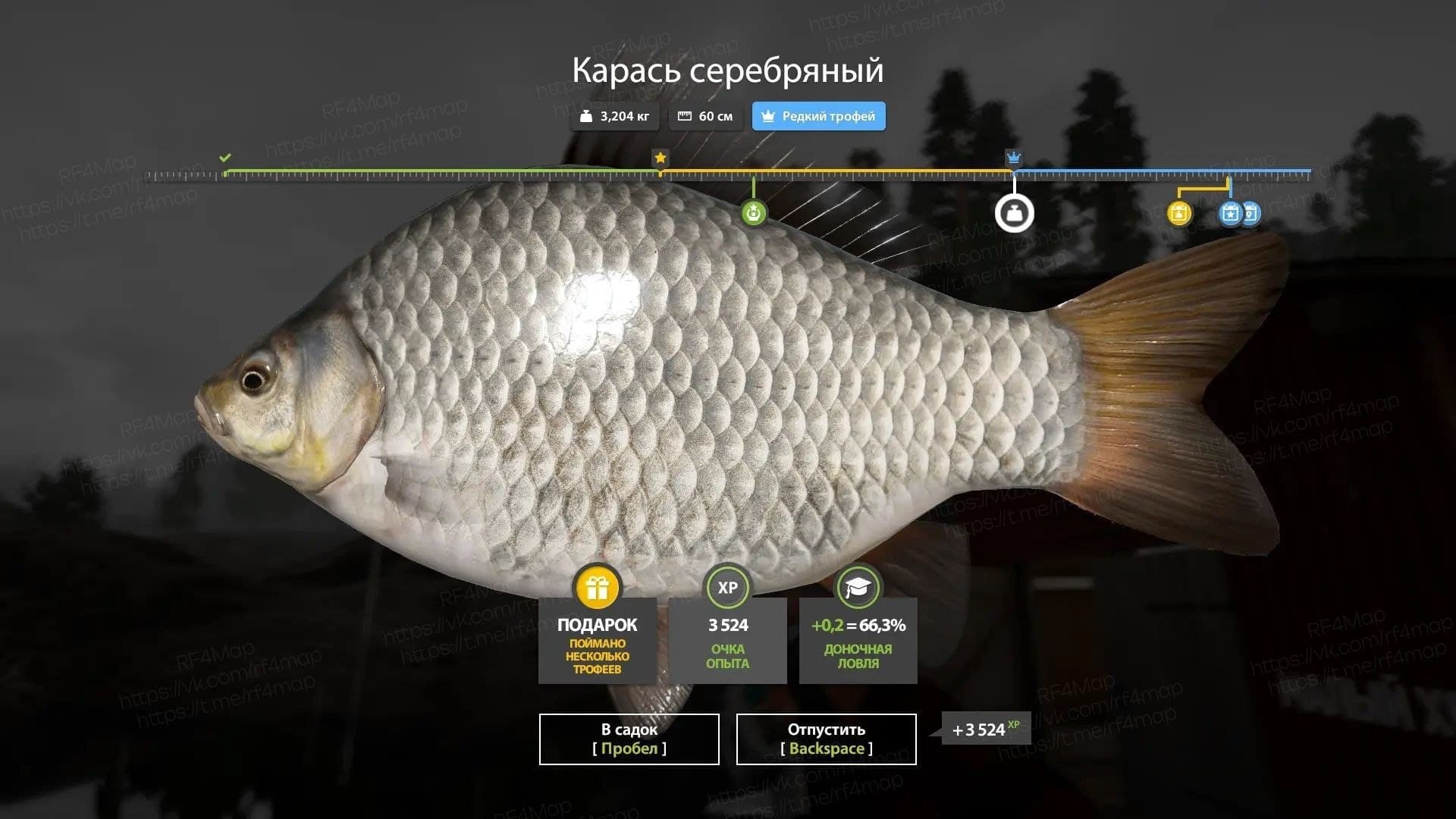 Ладожское оз.: трофей