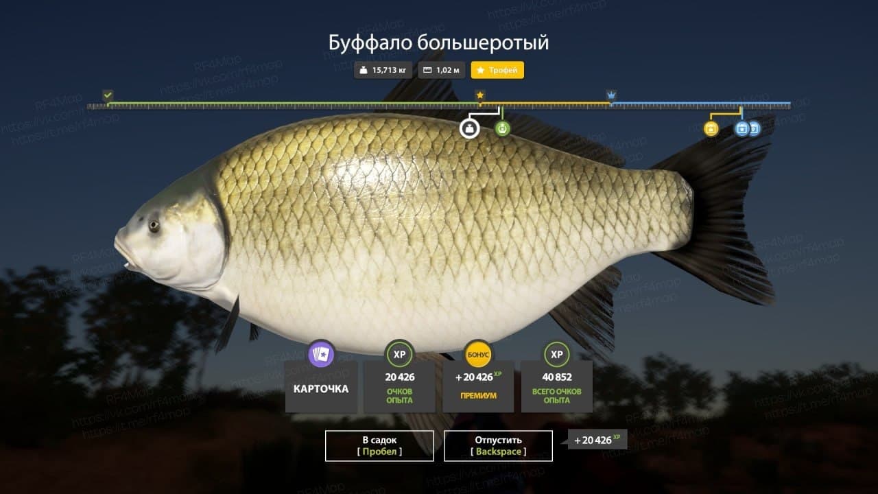 р. Ахтуба: фарм, трофей